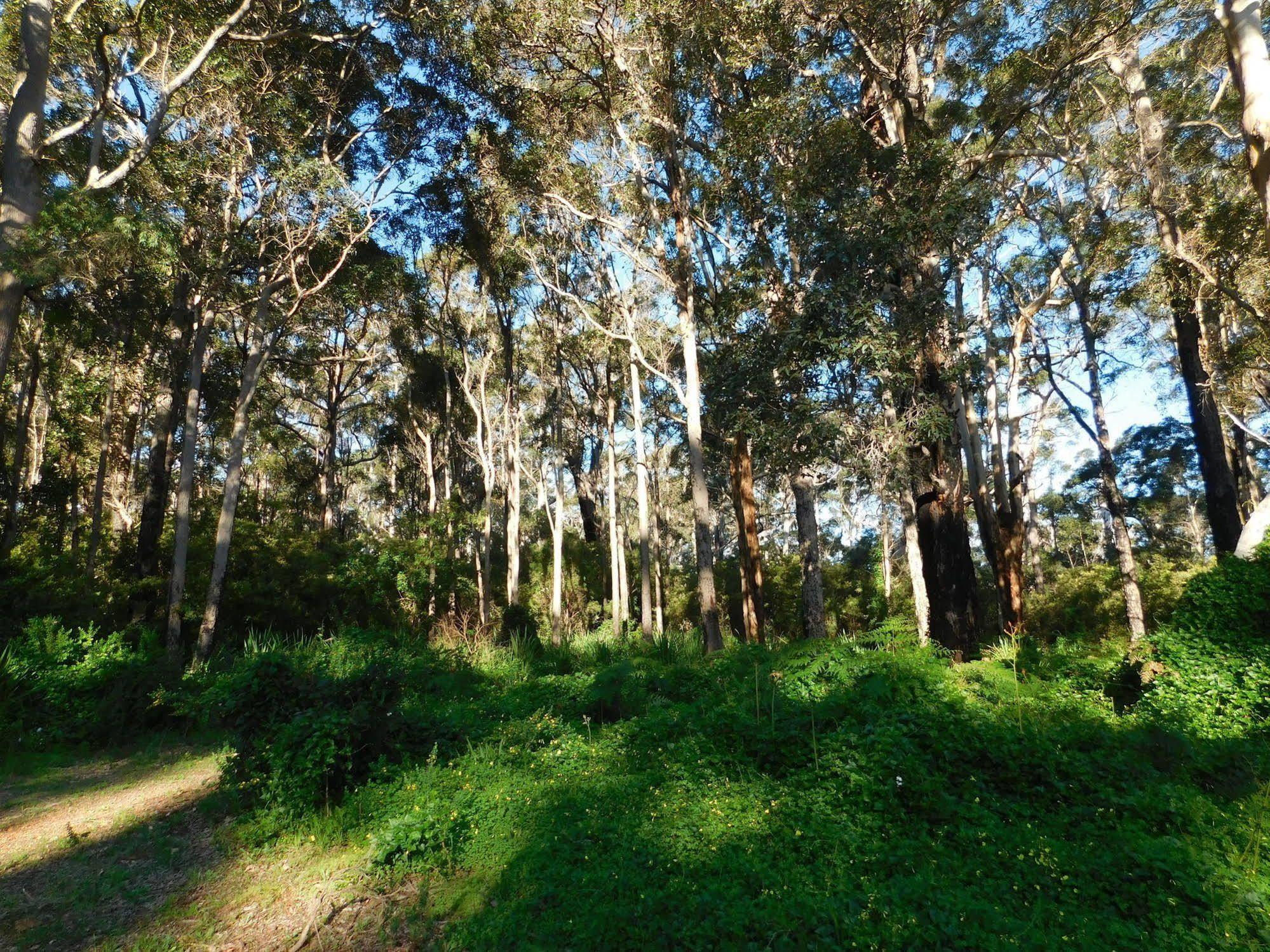 Edge Of The Forest Motel Margaret River Esterno foto